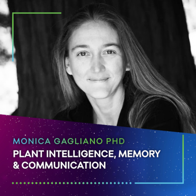 PLANT INTELLIGENCE, MEMORY & COMMUNICATION - Monica Gagliano PHD #67