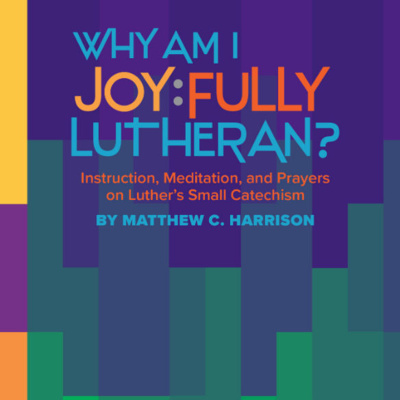 Joy:Fully Lutheran - Chapter 9