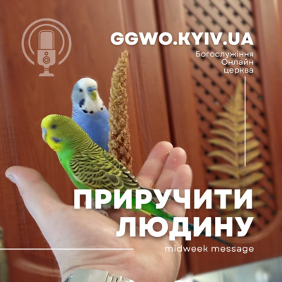 ПРИРУЧИТИ ЛЮДИНУ - 70 хвилин