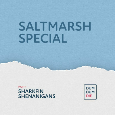 Currently playing episode