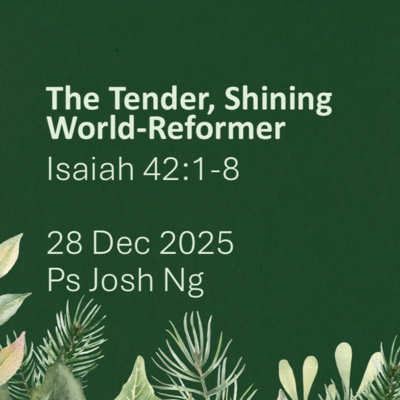 The Tender, Shining World-Reformer 