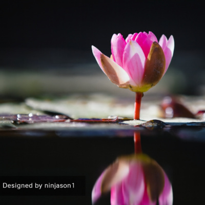 Healing from the Inside Out Series #30: How Knowing God is Within Me Helped Me Heal