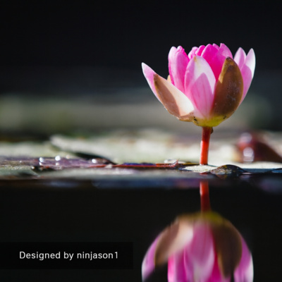 Heal from the Inside Out Series #33: Clean Up As You Go