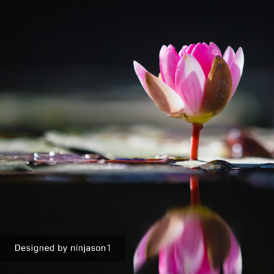 Heal from the Inside Out series #35: The Power of Thought. Just Because Someone Else Experienced it Does not Mean You Have to. 