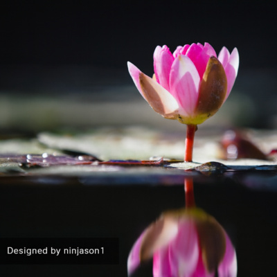 Heal from the Inside Out Series #36: My mama told me, "What is for Me, I Will Get & I Believed Her."