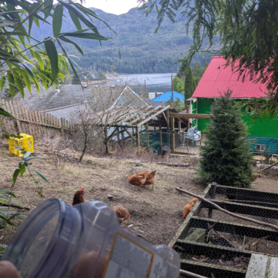 e-bikes, treaties and derelict vessels