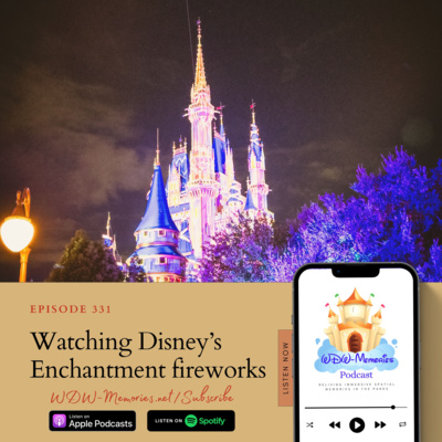 Watching Disney’s Enchantment fireworks, in Walt Disney World's: Magic Kingdom [SUPPORTER]