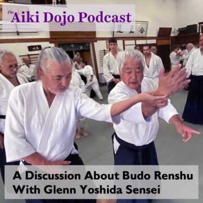 A Discussion About Budo Renshu With Glenn Yoshida Sensei