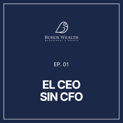 Ep 1: El CEO sin CFO - Qué hacer