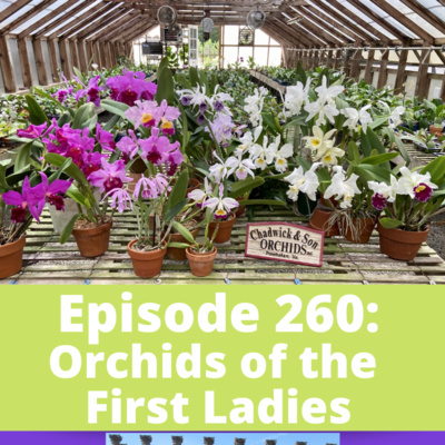 Orchids of the First Ladies