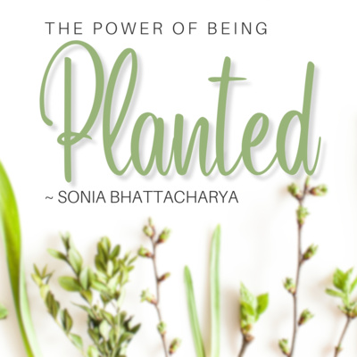 The Power of being Planted - Sonia Bhattacharya