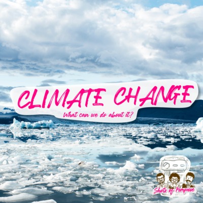 #8 Climate change, what can we do about it?