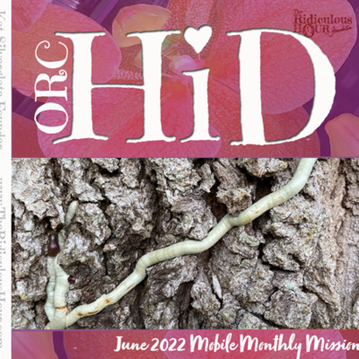 Episode 30: Orchid [with ridiculous emphasis on the last three letters... HID]