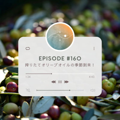 🌓#160 搾りたてオリーブオイルの季節到来!