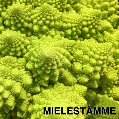 7. Mindfulnessin sovellukset: onnellisuus, kärsimys, seksi ja parisuhde (Vilho Ahola ja Jani Kajanoja) 7. Mindfulnessin sovellukset: onnellisuus, kärsimys, seksi ja parisuhde (Vilho Ahola ja Jani Kajanoja)