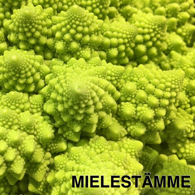9. Digital mindfulness in times of pandemic - thesis defence (Judson Brewer) 9. Digital mindfulness in times of pandemic - thesis defence (Judson Brewer)