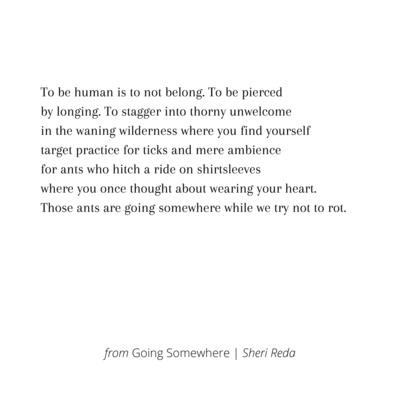 Going Somewhere by Sheri Reda