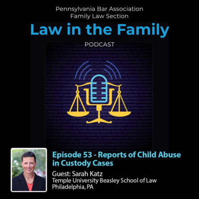 Episode 53 - Reports of Child Abuse in Custody Cases | Sarah Katz