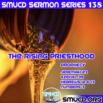 Sermon Series 138 The Rising Priesthood
