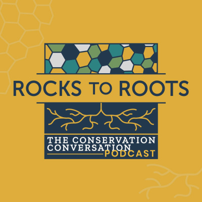 Introducing Rocks To Roots