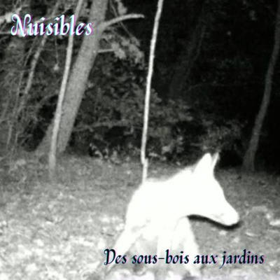 ONDINES25 Nuisibles - Des sous-bois aux jardins - Dimitri Lewkowicz 