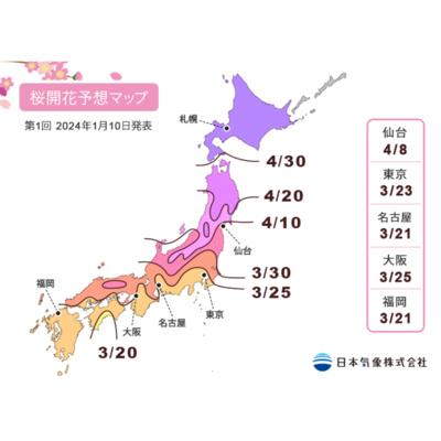 第248回｜2024櫻花前線開跑！櫻花休眠打破了嗎？