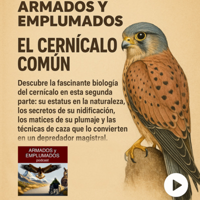 EL CERNÍCALO 2ª PARTE