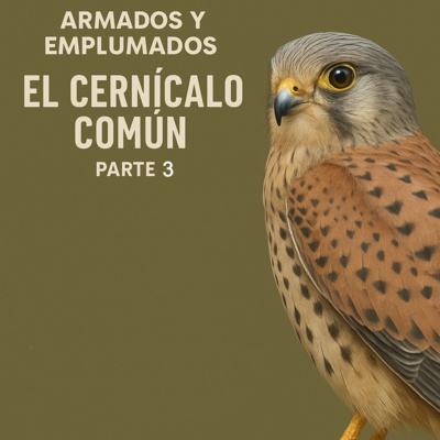 EL CERNÍCALO 3ª PARTE