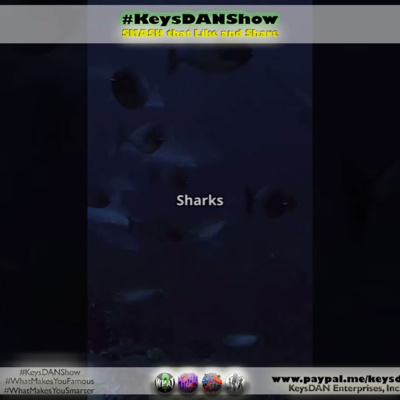 Sharks: Older Than Saturn's Rings & Dinosaurs! #FACTS KeysDAN Show #KeysDANShow @KeysDAN