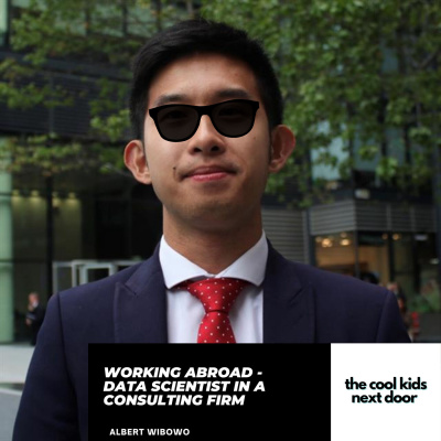 Working Abroad - Data scientist in a Consulting Firm
