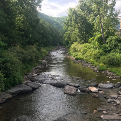 Un-Muddying the Waters