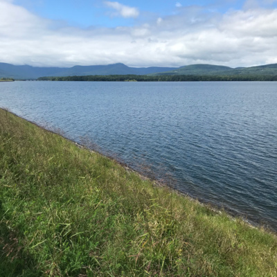 Currently playing episode