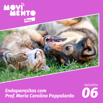 Movimento Elanco