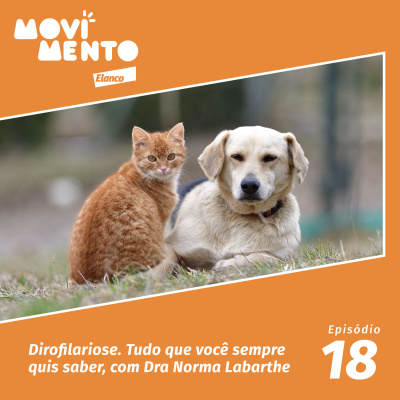 Movimento Elanco