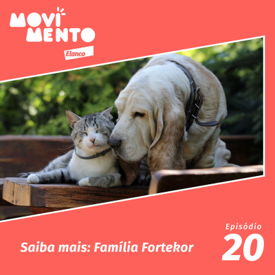 Movimento Elanco