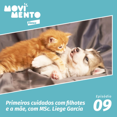 Movimento Elanco