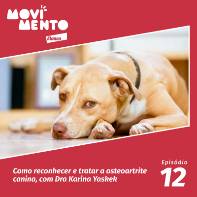 Movimento Elanco