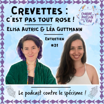 #31 Crevettes : c'est pas tout rose ! - Elisa Autric & Léa Guttmann