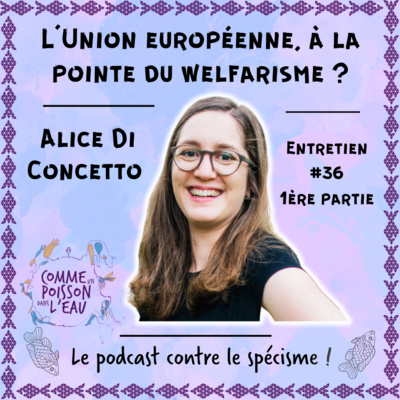 #36 L'Union européenne, à la pointe du welfarisme ? - Alice Di Concetto (1/2)