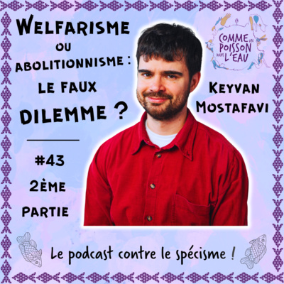 #43 Welfarisme ou abolitionnisme : le faux dilemme ? - Keyvan Mostafavi (2/2)
