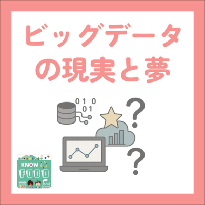 #25.ビッグデータの現実と夢