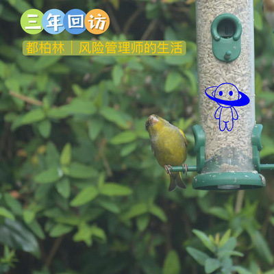 【三年回访】都柏林｜风险管理师的生活