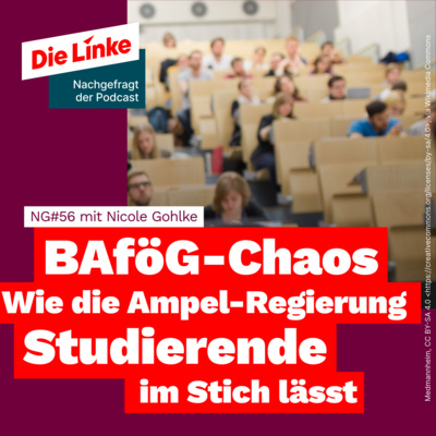 NG#56 BAföG-Chaos - Wie die Ampel-Regierung Studierende im Stich lässt 