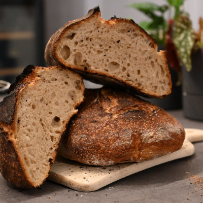 The (Literally) Wild World of Sourdough