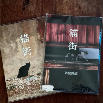 #356『猫と街の写真の魅力』について