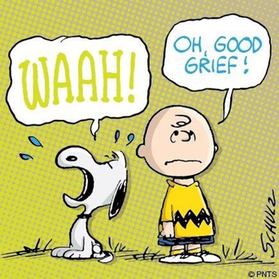 16: 2017 Episode 16 : Good Grief