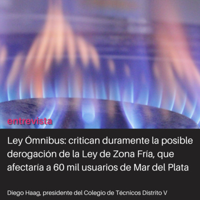 Ley Ómnibus y Mar del Plata ¿sin subsidios al gas?