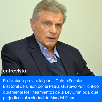 Andan diciendo: el diputado provincial Gustavo Pulti criticó la Ley Ómnibus