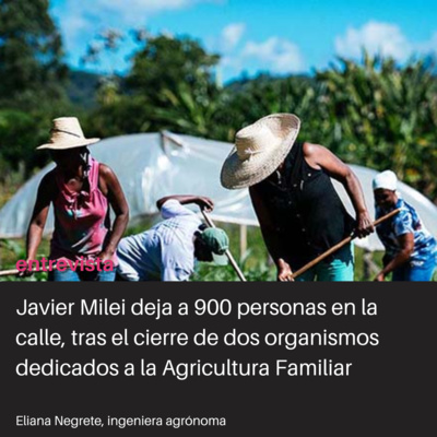 Desarrollo e inclusión de pequeños productores, ¡afuera!