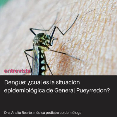 Dengue 2024, la peor epidemia de Argentina